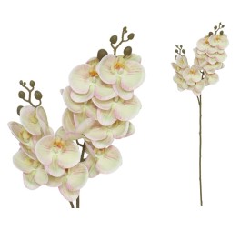 VARA ORQUIDEA X 12 R/TOUCH-76 CM(TE)