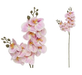 VARA ORQUIDEA X 12 R/TOUCH-76 CM(ROSA)