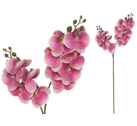VARA ORQUIDEA X 12 R/TOUCH-76 CM(FUCSIA)