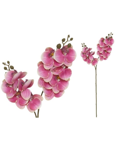 VARA ORQUIDEA X 12 R/TOUCH-76 CM(FUCSIA)