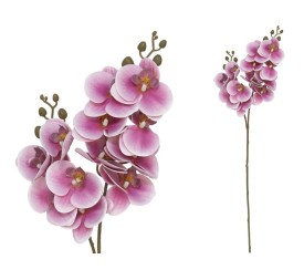VARA ORQUIDEA X 12 R/TOUCH-76CM (VIO)