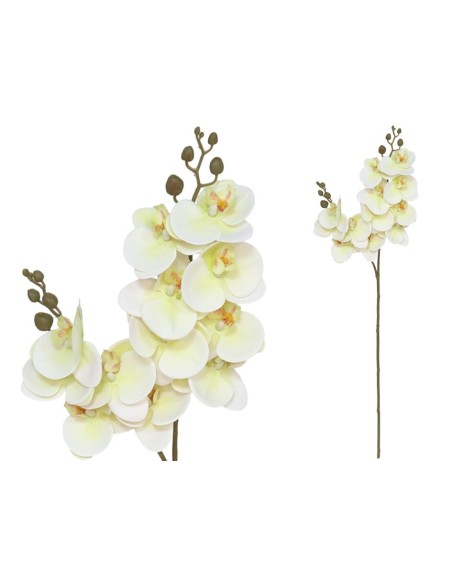 VARA ORQUIDEA X 12 R/TOUCH-76 CM(VERDE)