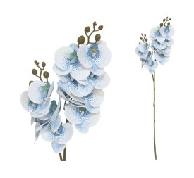 VARA ORQUIDEA X 12 R/TOUCH-76 CM(AZUL)