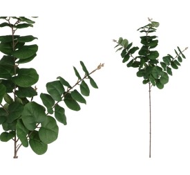 VARA EUCALIPTO 58 LVS  80 CM (VERDE)
