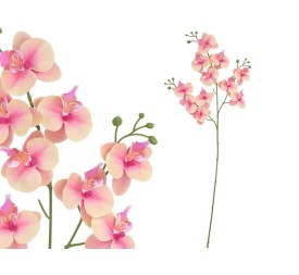 VARA ORQUIDEA X 11 R/TOUCH-82 CM(TE)