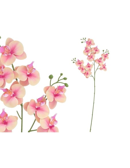 VARA ORQUIDEA X 11 R/TOUCH-82 CM(TE)