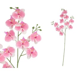 VARA ORQUIDEA X 11 R/TOUCH-82 CM(ROSA)