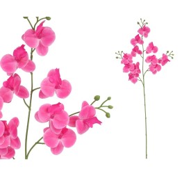 VARA ORQUIDEA X 11 R/TOUCH-82 CM(FUCSIA)