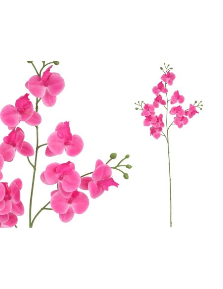 VARA ORQUIDEA X 11 R/TOUCH-82 CM(FUCSIA)