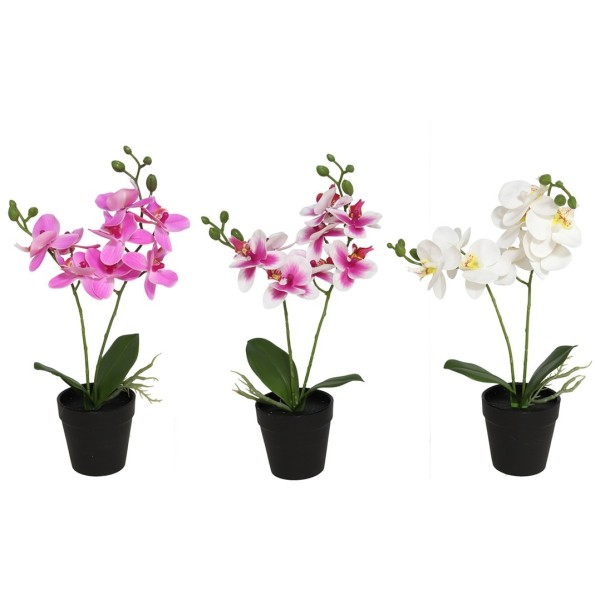 MACETA ORQUIDEAS X 8 R/TOUCH-35 CM (S)