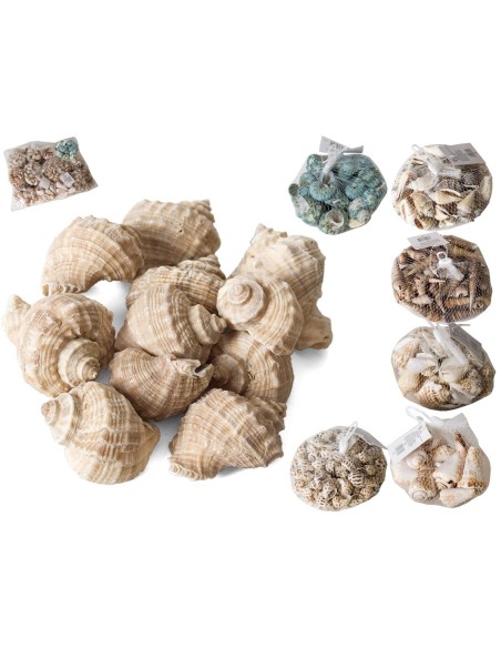 CARACOLAS DECORACION SURTIDAS 150-160G CARACOLAS DECORACION SURTIDAS 150-160G