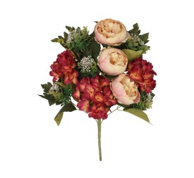 CONJUNTO PEONIA-HORT (A) X11-54CM (FU)