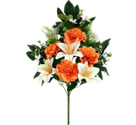 CONJUNTO CLAVEL-LILYX 12 -56CM (TE)