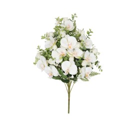 CONJUNTO ORQUIDEAS-CAP X 11 -56CM (BL)