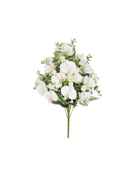 CONJUNTO ORQUIDEAS-CAP X 11 -56CM (BL)