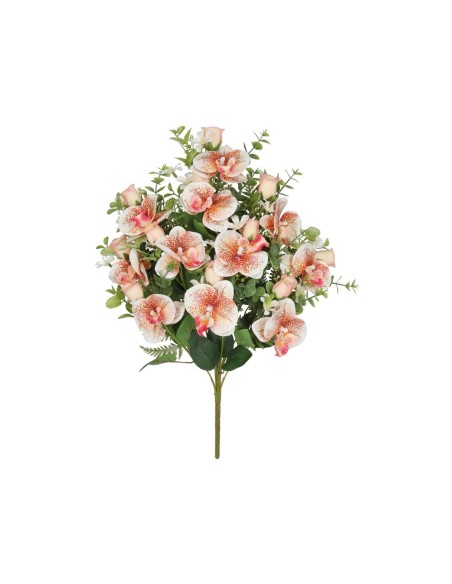 CONJUNTO ORQUIDEAS-CAP X 11 -56CM (TE)