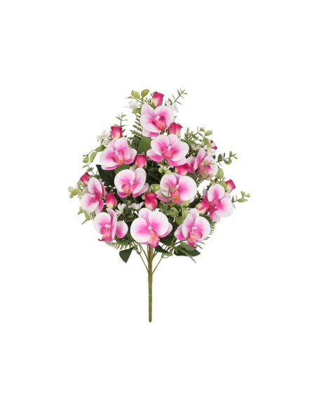 CONJUNTO ORQUIDEAS-CAP X 11 -56CM (FUC)