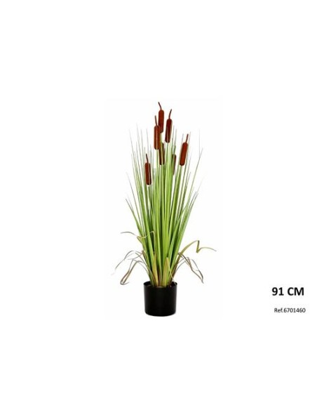 MACETA GRASS ESPADAÑA 91H