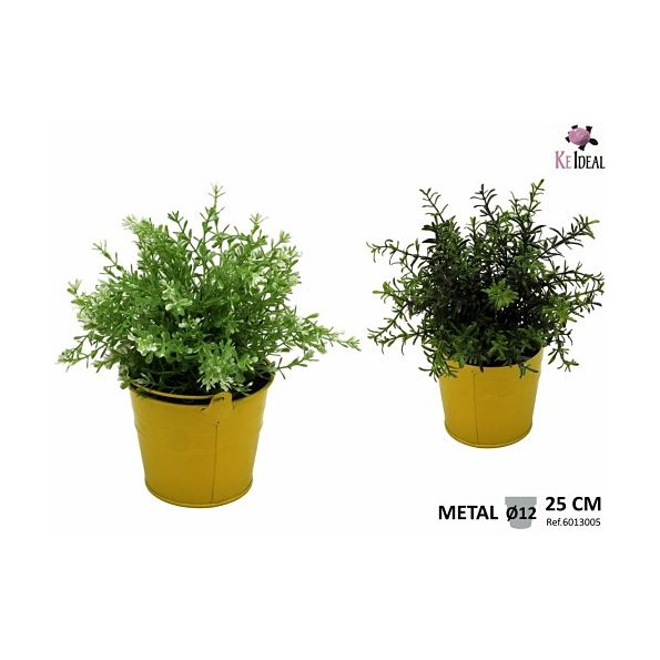 PLANTAS VERDES SURTIDAS EN MACETA METAL