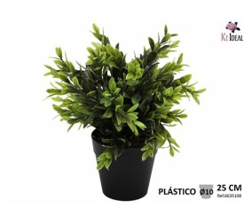PLANTA RODODENDRO EN MACETA PLASTICO