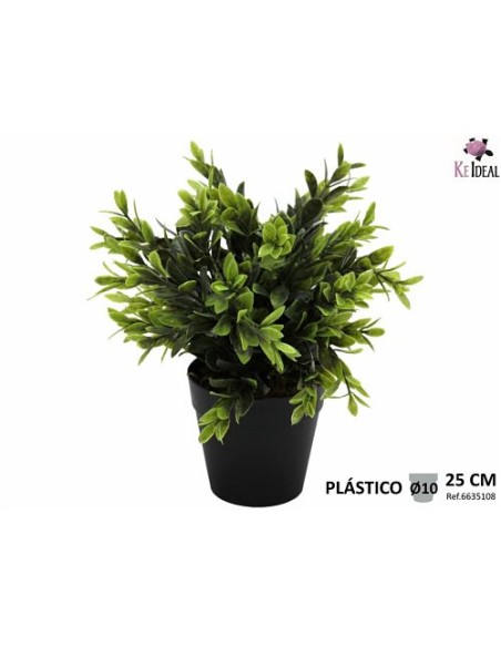 PLANTA RODODENDRO EN MACETA PLASTICO