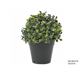 BOLA BOJ EN MACETA 13X17 CM