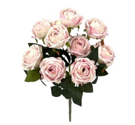 R.ROSAS X9 ROSA 45cm