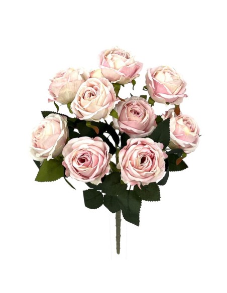 R.ROSAS X9 ROSA 45cm