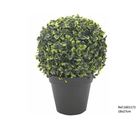 BOLA BOJ EN MACETA 18X27 CM