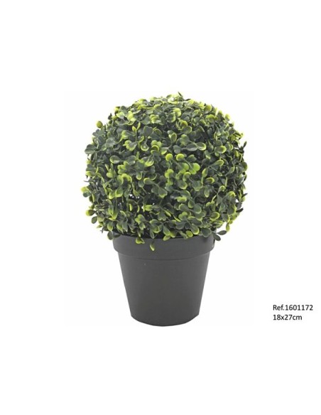 BOLA BOJ EN MACETA 18X27 CM