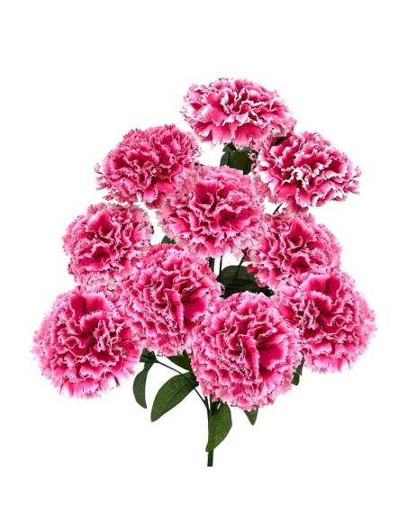 R. CLAVEL X10 M.TERCIOP. FUCSHIA 45cm