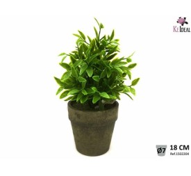 PLANTA AROMATICA EN MACETA