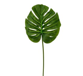 H.MONSTERA TACT.NAT VERDE OSC.50cm(20cm)