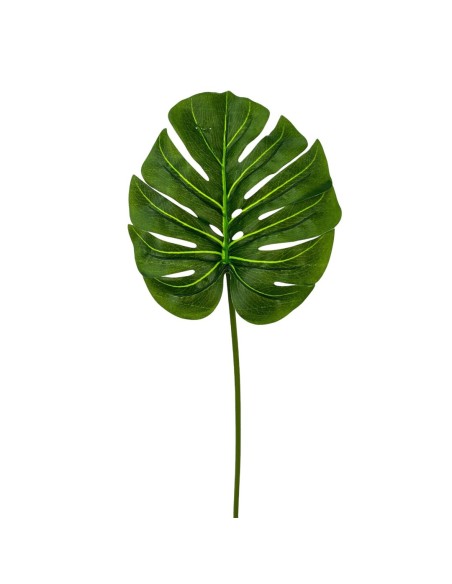 H.MONSTERA TACT.NAT VERDE OSC.50cm(20cm)
