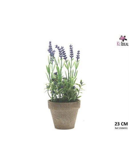 MACETA LAVANDA 23CM