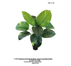 PHOTO R.TOUCH 63 CT UNICO