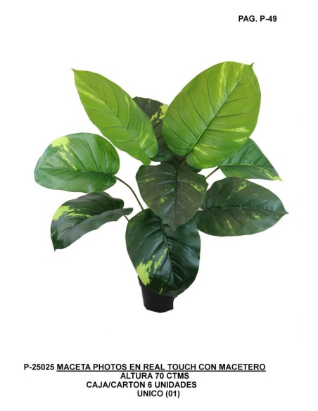 PHOTO R.TOUCH 63 CT UNICO