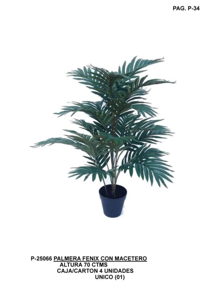 PALMERA FENIX 70 CTM UNICO
