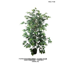 PLANTA FICUS 140 CM VERDE