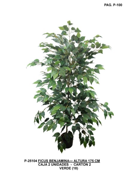 PLANTA FICUS 140 CM VERDE