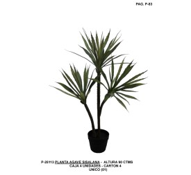 PLANTA YUCA X3 90 CM UNICO