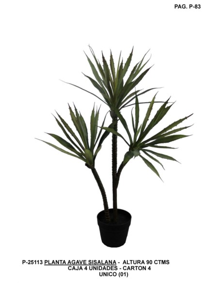 PLANTA YUCA X3 90 CM UNICO