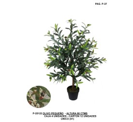 PLANTA OLIVO 80 CM UNICO