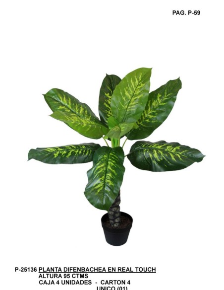 DIFENBACHEA X9 95 CM UNICO