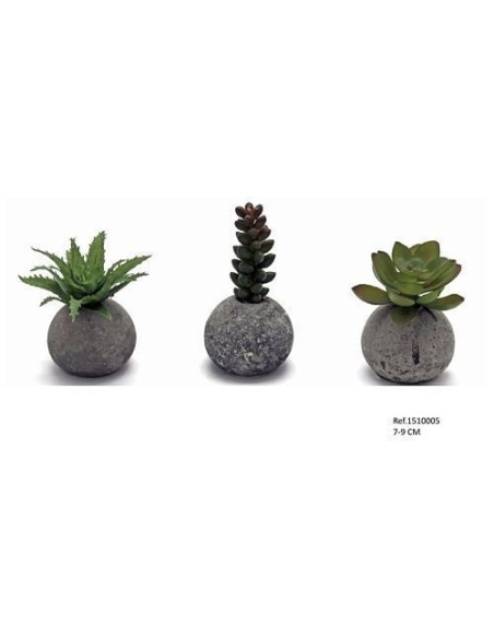 SUCULENTA EN BOLA DE CEMENTO 7-9CM
