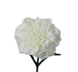V.CLAVEL MICROPEACH BLANCO