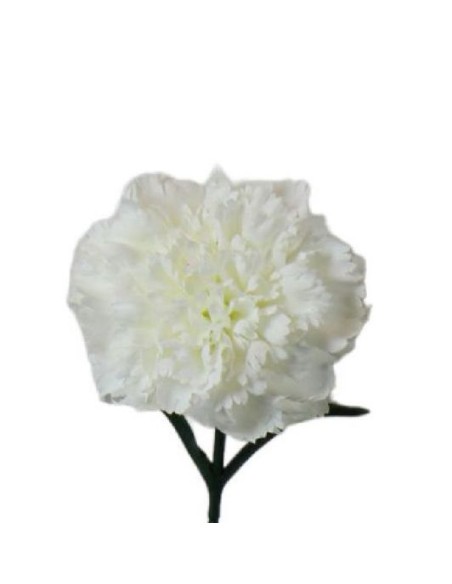 V.CLAVEL MICROPEACH BLANCO