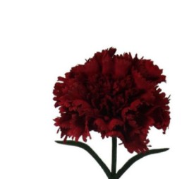 V.CLAVEL MICROPEACH ROJO
