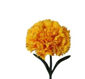 V.CLAVEL MICROPEACH AMARILLO