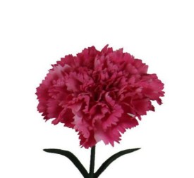 V.CLAVEL MICROPEACH ROSA